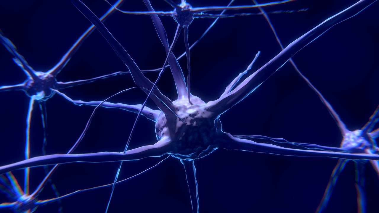 nerve-cell-2213009_1280 Coaching collectif